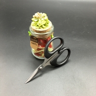 S004 office scissors Dexian * 12 35 * 35 * 47 / 14kg