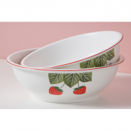 Qiangshun 10 inch smooth port