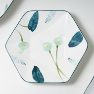 Hand drawn 8-inch hexagonal plate