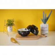 Matte black glaze 4.5-inch Jinya bowl