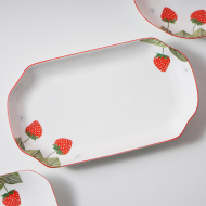 Strong smooth 30cm rectangular plate